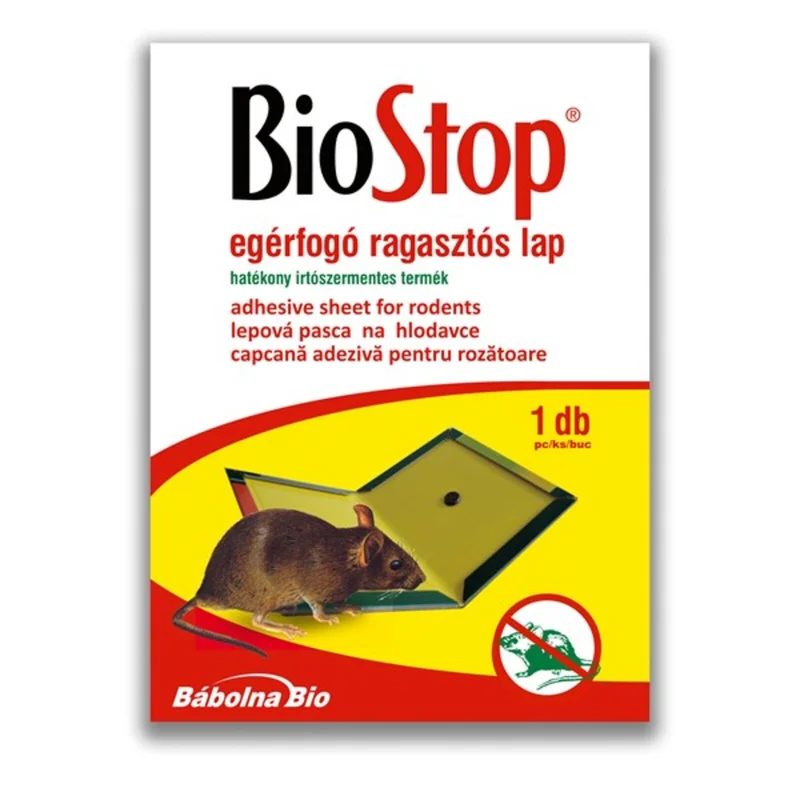 apshop202606260900002571051