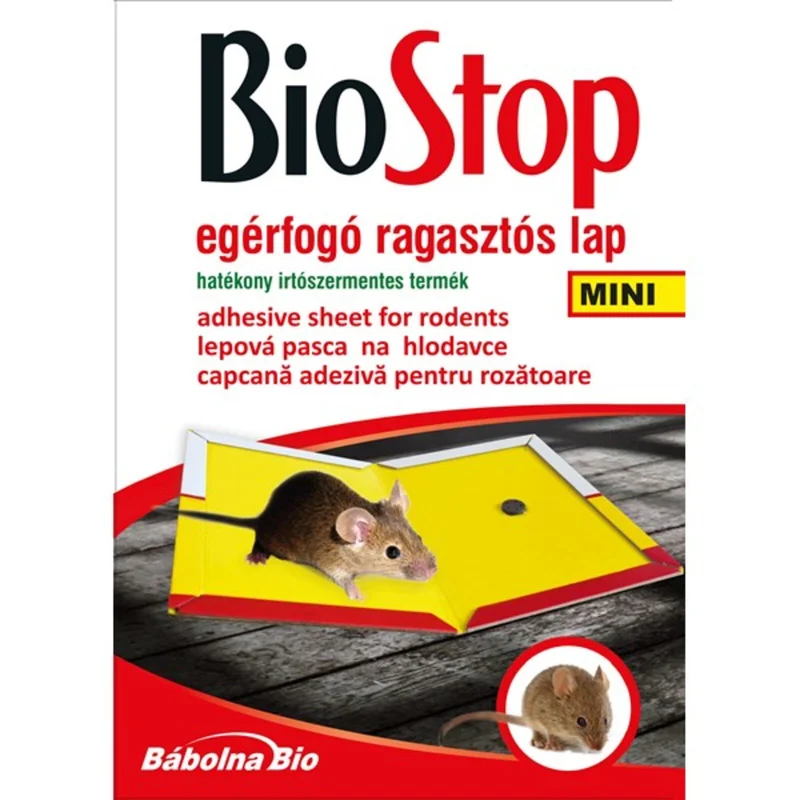 apshop202606261251292617739