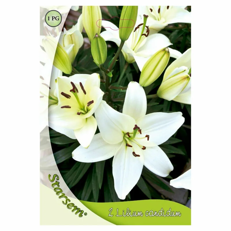 apshop202606261350532630636