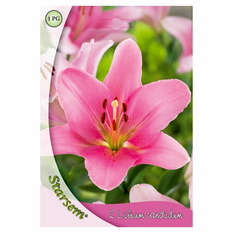 apshop202606261350532630639