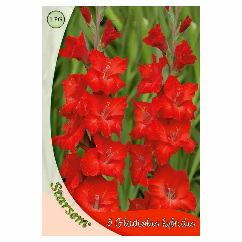 apshop202606261351182630724