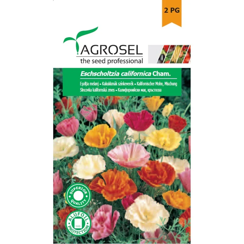 apshop202606261354102631304