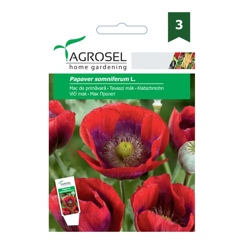 apshop202606261355582631607