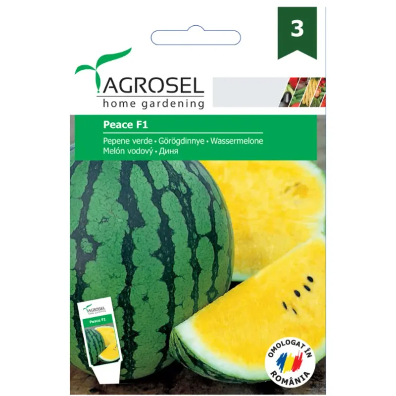 apshop202606261407452633920