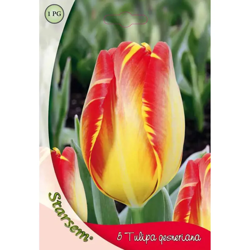 apshop202606261431232638896